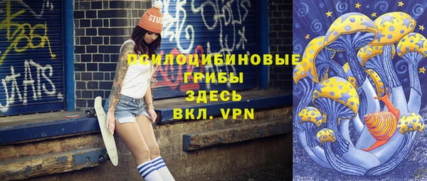 ГАЛЛЮЦИНОГЕННЫЕ ГРИБЫ Наволоки