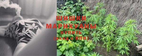 ГАЛЛЮЦИНОГЕННЫЕ ГРИБЫ Наволоки
