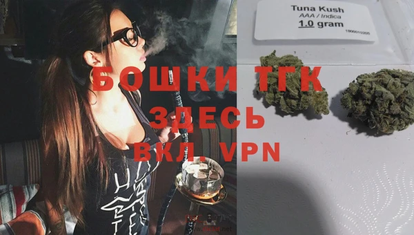 ГАЛЛЮЦИНОГЕННЫЕ ГРИБЫ Наволоки